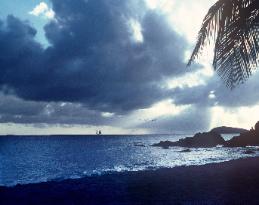 Runing 'fore the Storm